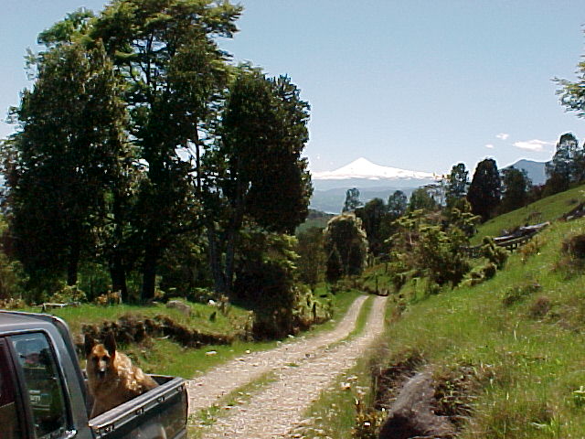 Uphill towards the homestead