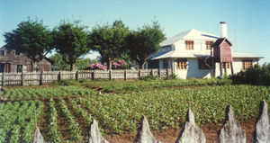 The "huerta" (vegetable garden)